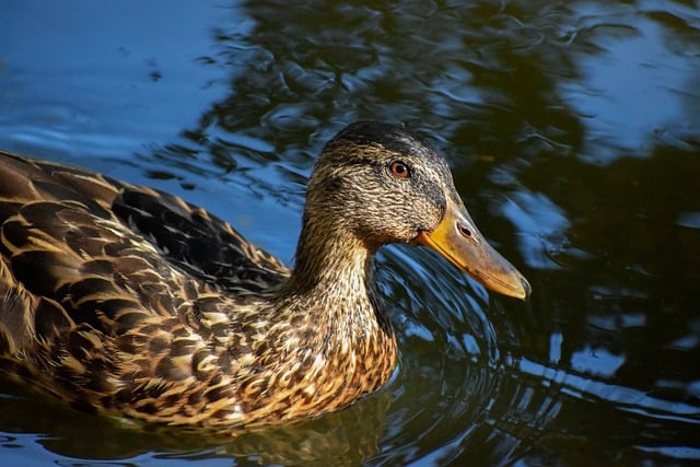 Hemmelighederne bag hurtig krydsordsløsning